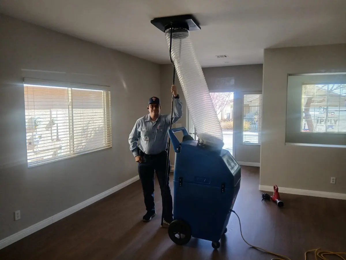 Professional Dryer Vent Cleaning work inside a Robinson home